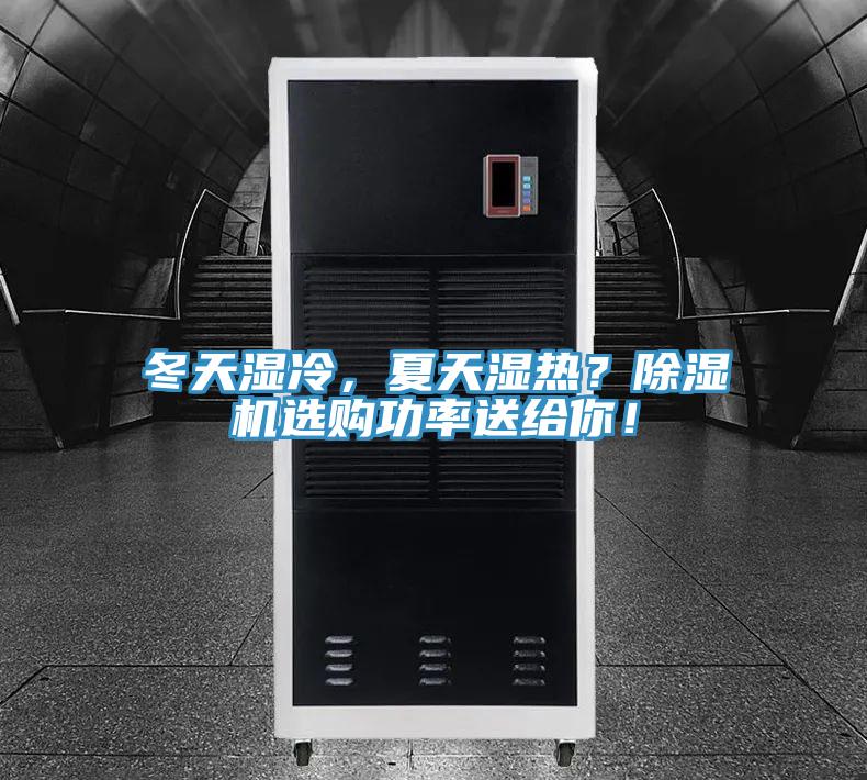 冬天濕冷，夏天濕熱？除濕機選購功率送給你！