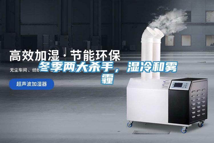 冬季兩大殺手，濕冷和霧霾