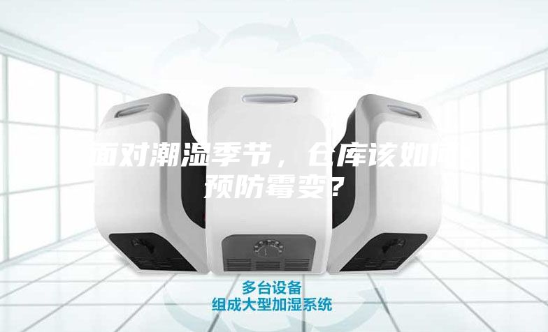 面對潮濕季節,倉庫該如何預防霉變?