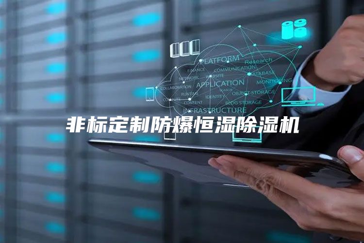 非標定制防爆恒濕除濕機