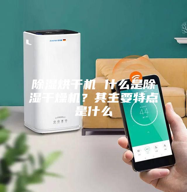 除濕烘干機 什么是除濕干燥機?其主要特點是什么