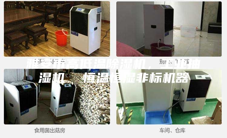 雅安市高低溫除濕機,工業抽濕機 恒溫恒濕非標機器