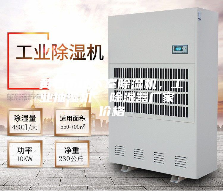 黃石市地下室除濕機,工業抽濕機 除濕器廠家 價格