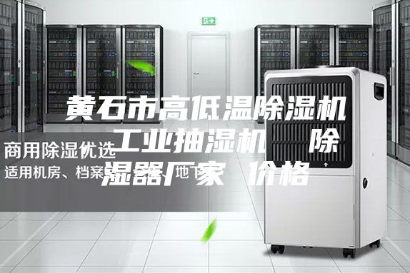黃石市高低溫除濕機,工業抽濕機 除濕器廠家 價格