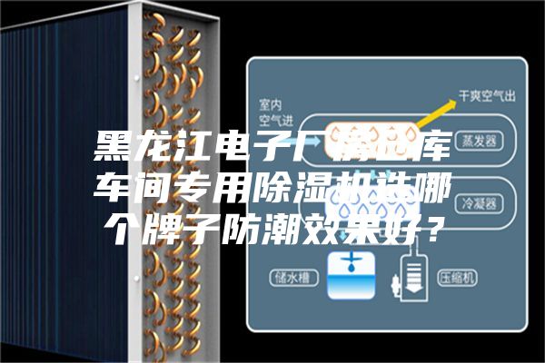 黑龍江電子廠房倉庫車間專用除濕機選哪個牌子防潮效果好?