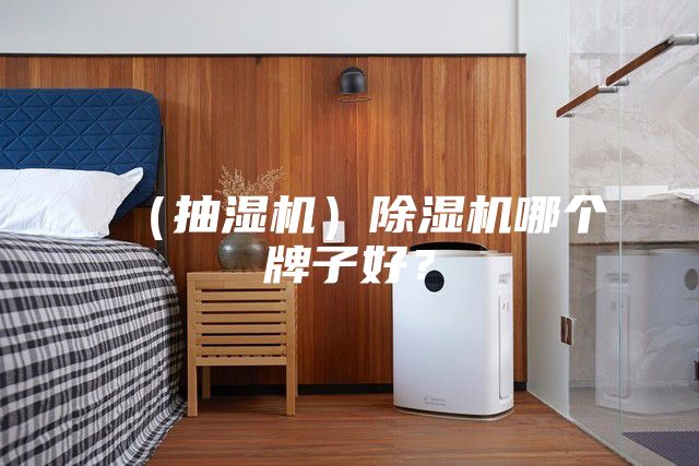 (抽濕機)除濕機哪個牌子好?