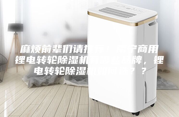 麻煩前輩們請推薦！南寧商用鋰電轉輪除濕機有哪些品牌，鋰電轉輪除濕機如何選？？