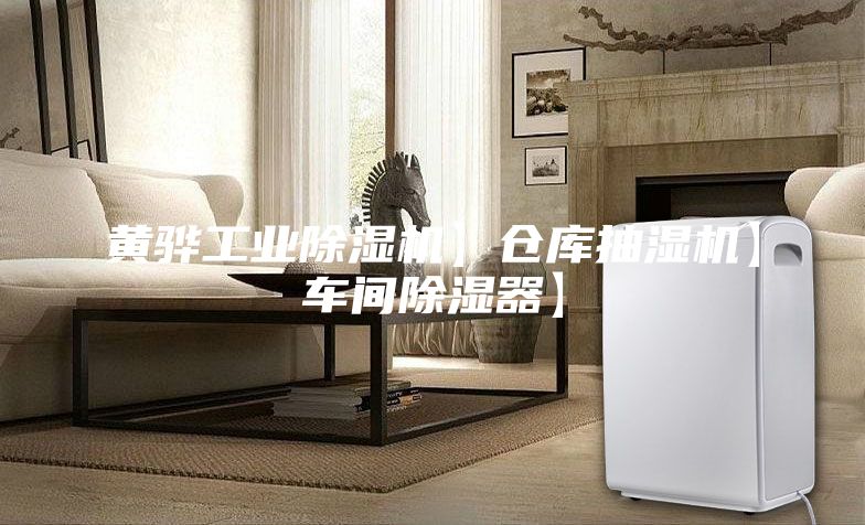 黃驊工業除濕機】倉庫抽濕機】車間除濕器】