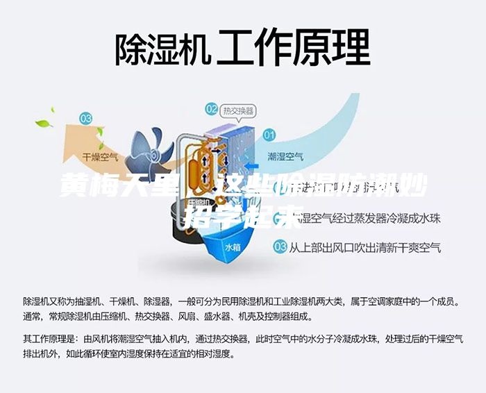 黃梅天里,這些除濕防潮妙招學(xué)起來(lái)